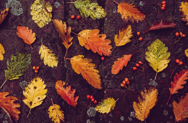Earthy Attire
